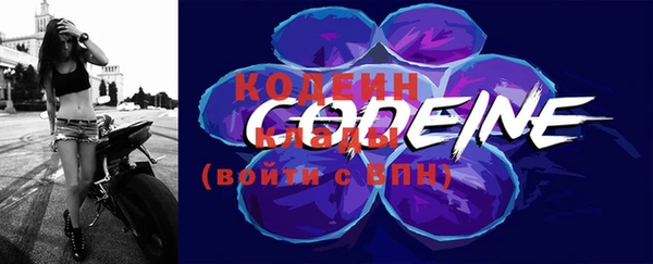 эйфоретик Бородино