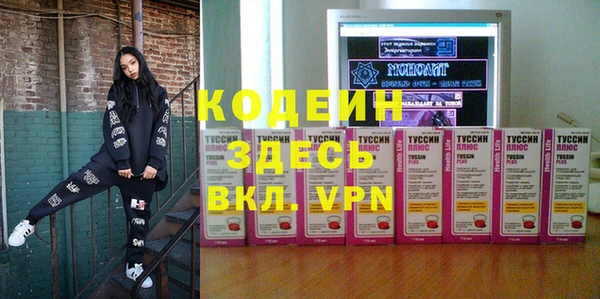 дживик Богородицк
