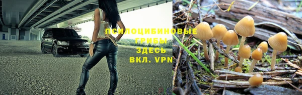 дживик Богородицк