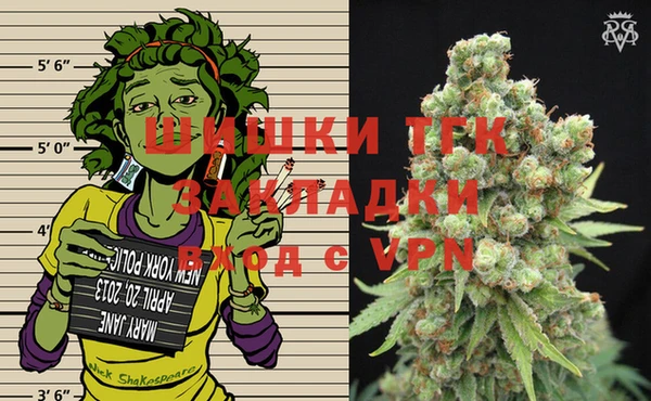 эйфоретик Бородино