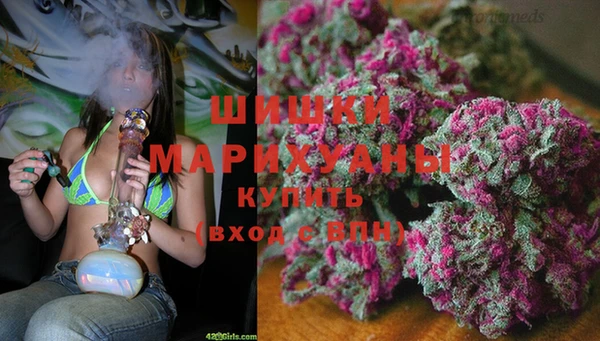 эйфоретик Бородино